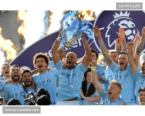 埃弗顿，新老球员的融合